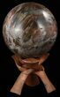 Colorful Petrified Wood Sphere - Madagascar #52443-1